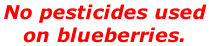 No pesticides used  on blueberries.